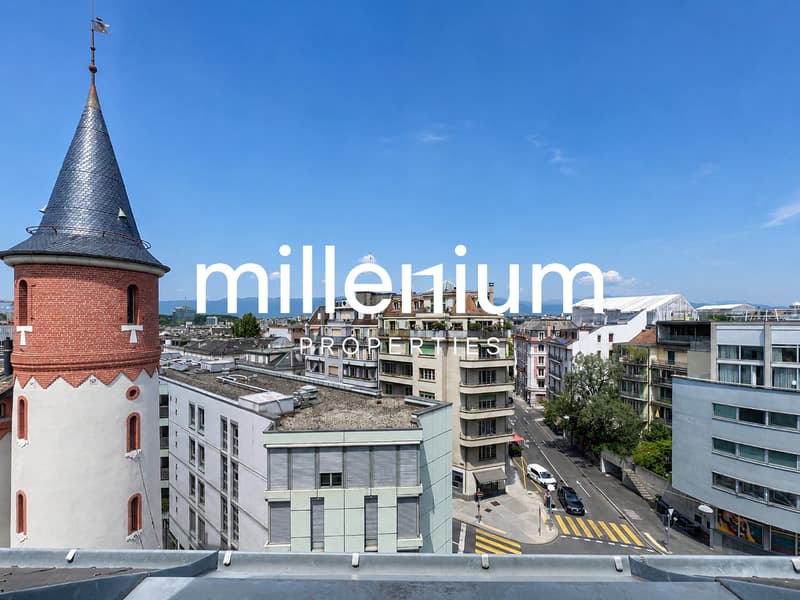 Magnifique appartement 5P en attique (1)