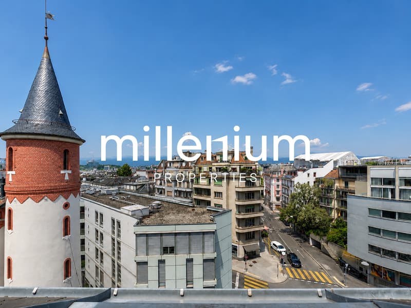 Magnifique appartement 5P en attique (2)