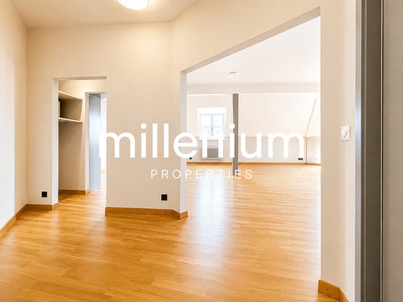 Magnifique appartement 5P en attique (3)