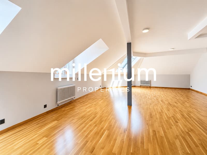 Magnifique appartement 5P en attique (4)