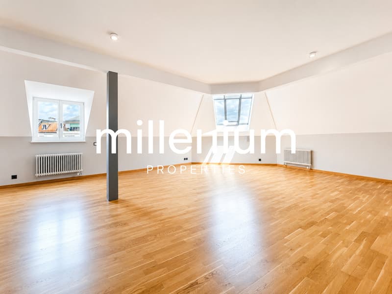 Magnifique appartement 5P en attique (2)