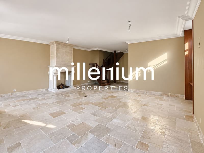 Appartement duplex de charme en rez-de-jardin au Château Barillet --Satigny (2)