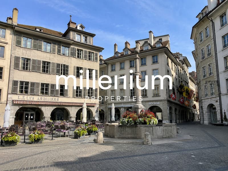 Magnifique appartement en Veille-Ville (1)