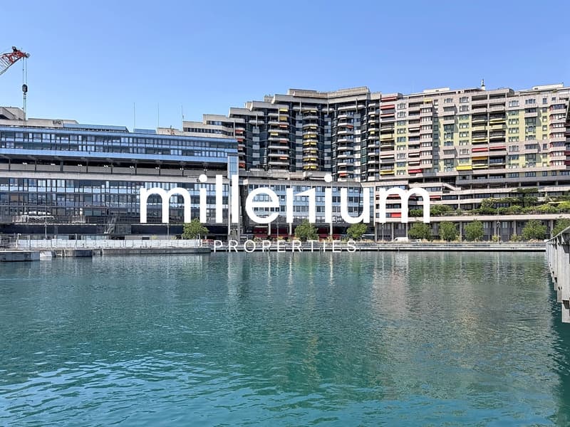 Magnifique appartement de 4P meublé avec vue imprenable sur le Rhône (1)
