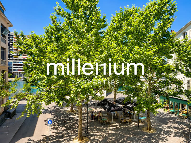Magnifique appartement de 4P meublé avec vue imprenable sur le Rhône (2)
