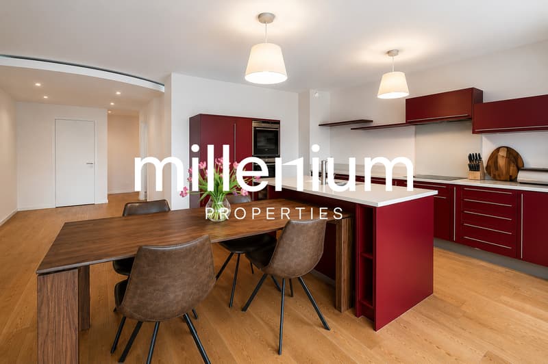 Appartement d'exception de 149 m² avec terrasse au Petit-Saconnex (4)