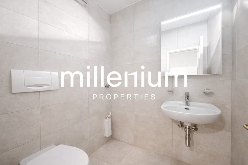 Exceptional Renovated 6-Room Duplex Penthouse in the Heart of Carouge (9)