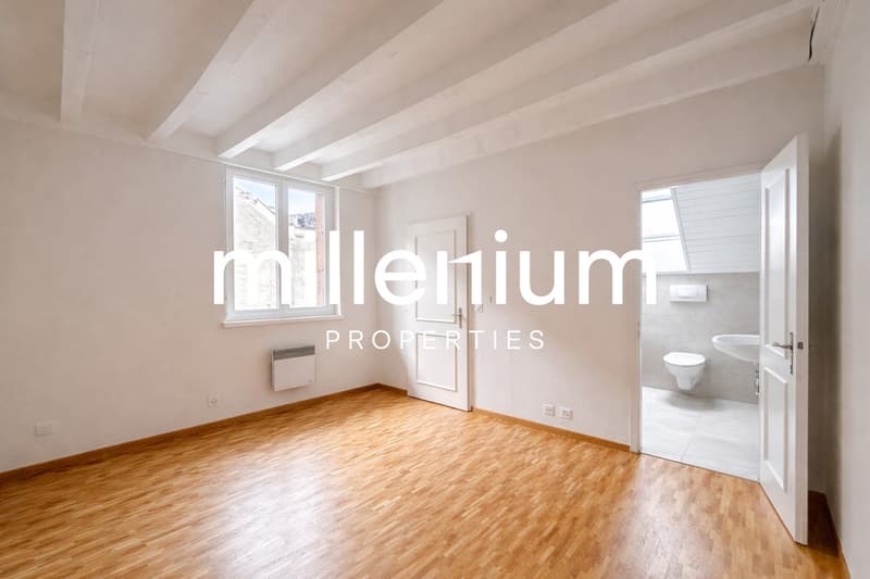Exceptional Renovated 6-Room Duplex Penthouse in the Heart of Carouge (10)