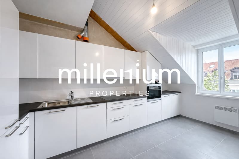 Exceptional Renovated 6-Room Duplex Penthouse in the Heart of Carouge (3)