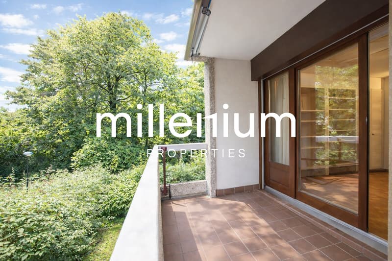 Appartement meublé de standing - Proximité immédiate des Organisations (5)