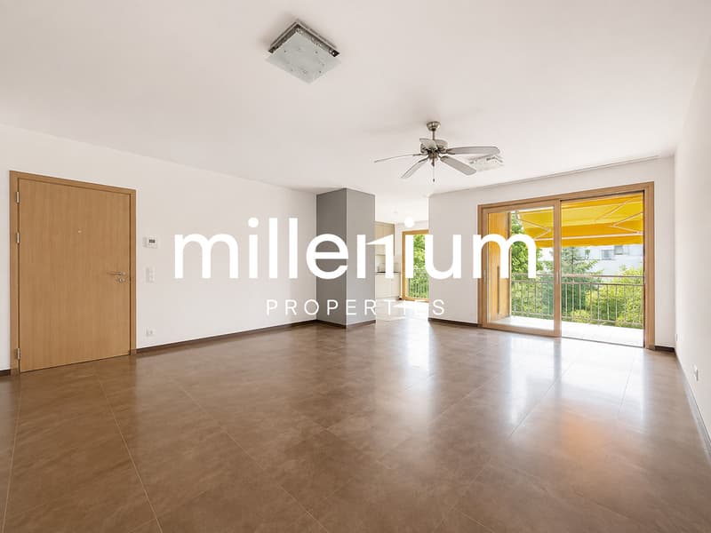 Magnifique appartement familial au Petit-Lancy (2)
