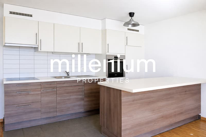 Magnifique duplex avec vue imprenable sur le lac à Nyon (4)