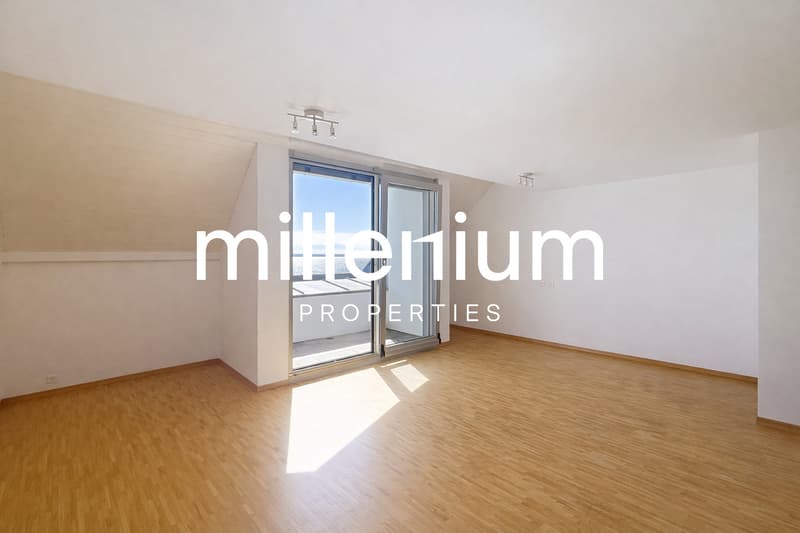Magnifique duplex avec vue imprenable sur le lac à Nyon (2)