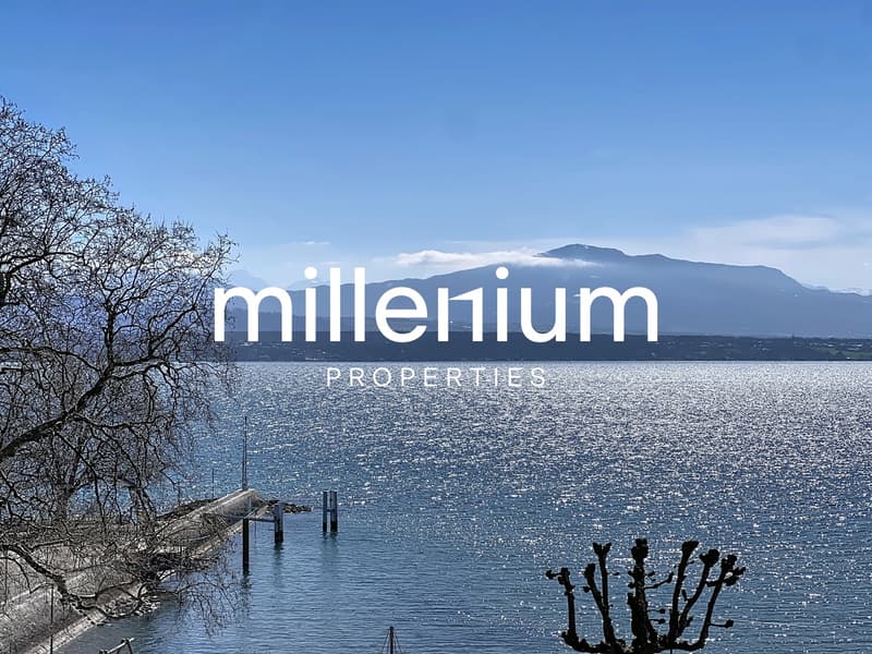 Magnifique duplex avec vue imprenable sur le lac à Nyon (1)