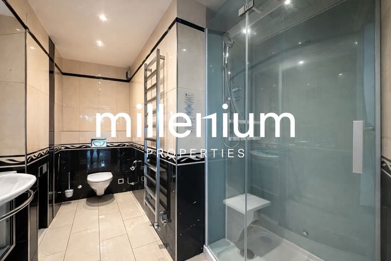 Superbe appartement de 5.5 pièces avec piscine - Malagnou (5)