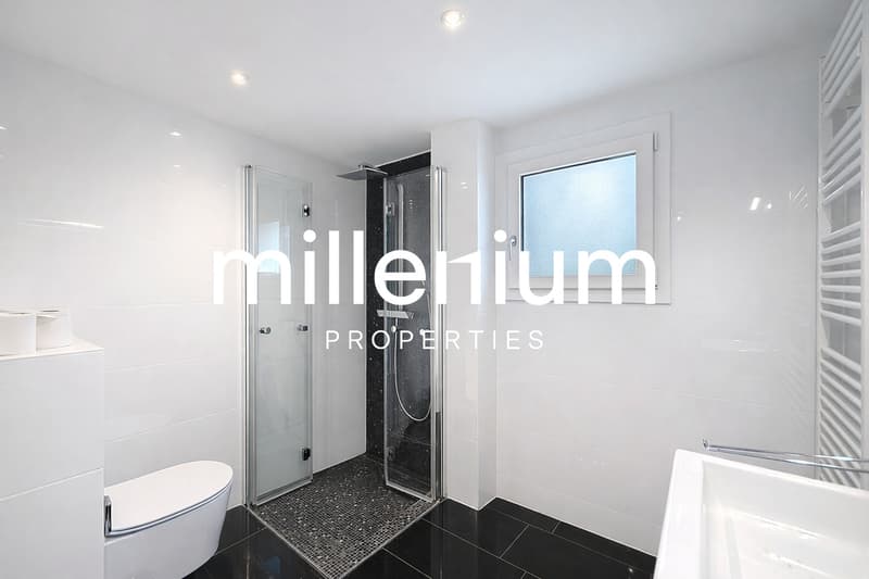 Maison individuelle d'exception à Chambésy (10)