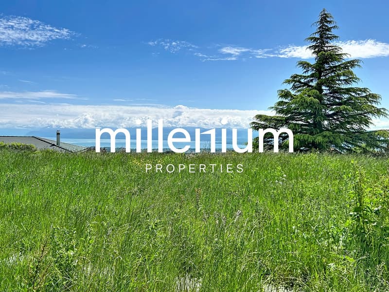 Villa de luxe avec vue imprenable sur le lac Léman et les Alpes (13)
