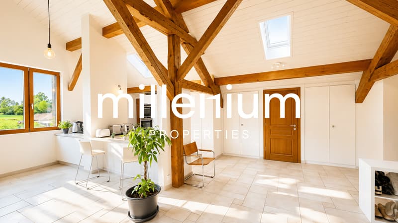 Spacieux appartement au coeur de la campagne genevoise (6)