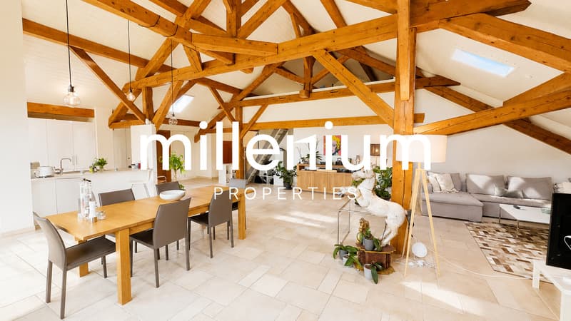 Spacieux appartement au coeur de la campagne genevoise (2)