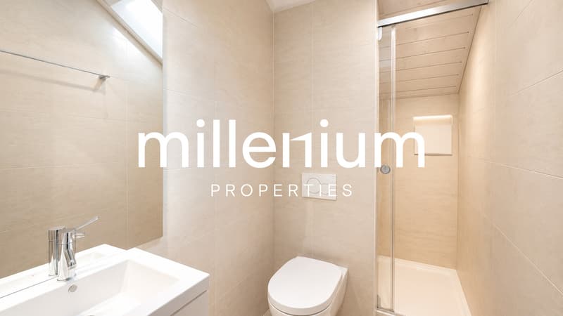Spacieux appartement au coeur de la campagne genevoise (8)