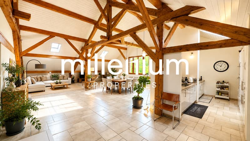 Spacieux appartement au coeur de la campagne genevoise (1)
