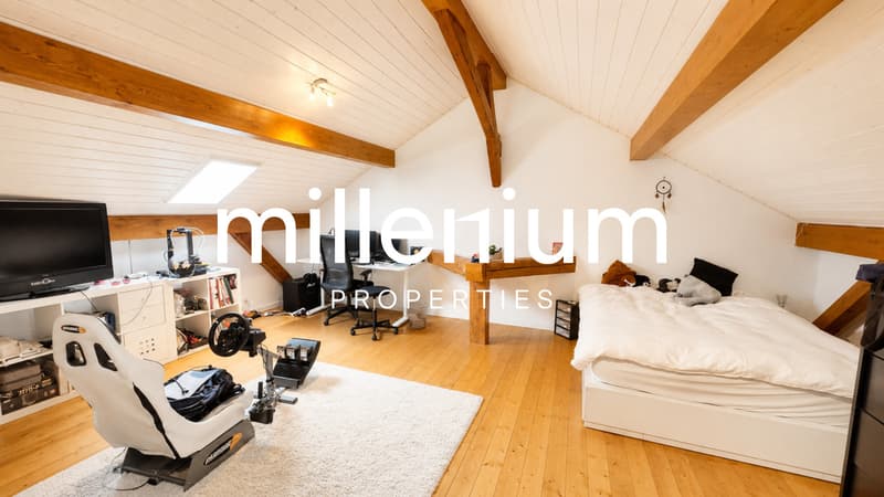 Spacieux appartement au coeur de la campagne genevoise (4)