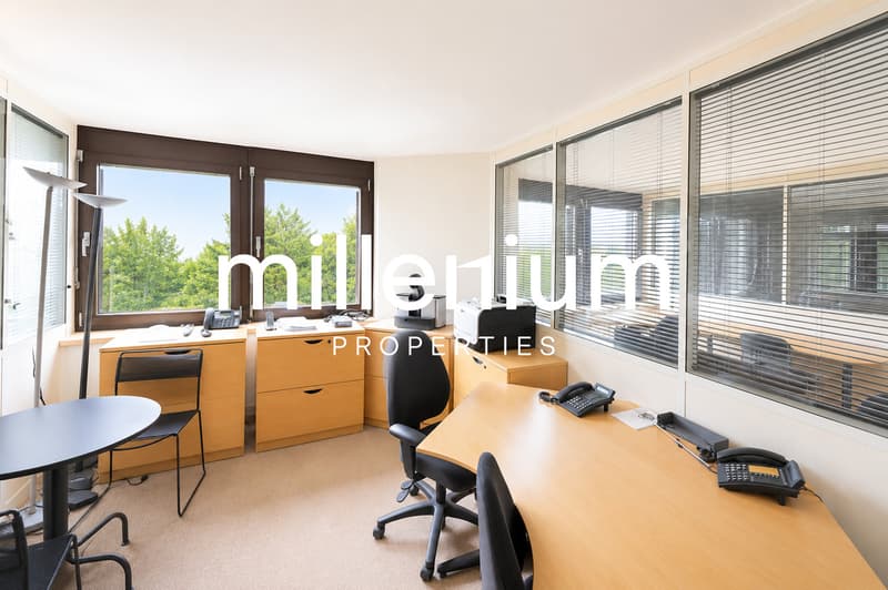 Business center - Espaces de bureaux premium face au lac (4)