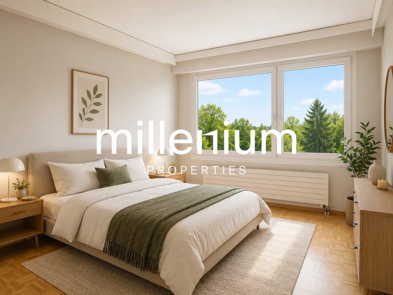 Bel appartement lumineux entièrement rénové (5)