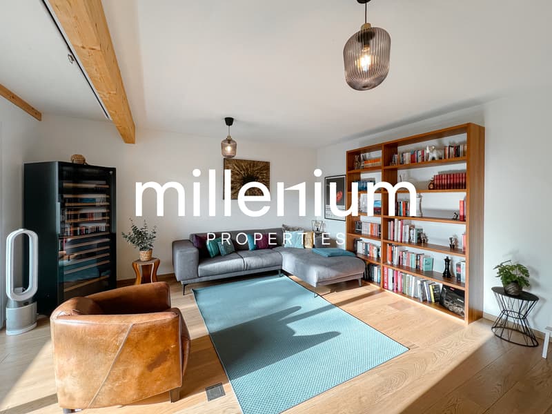 Magnifique duplex à Vésenaz (4)