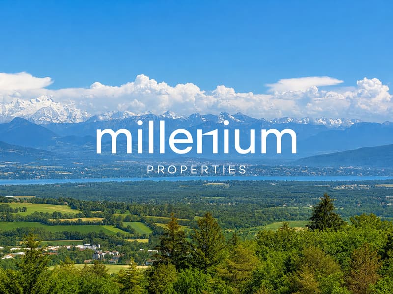 Vue panoramique sur le lac Léman et le Mont-Blanc - Gex (FRANCE) (2)