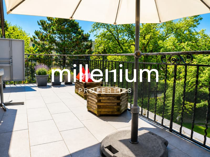 Appartement terrasse meublé de 2 P au Petit Lancy. (1)