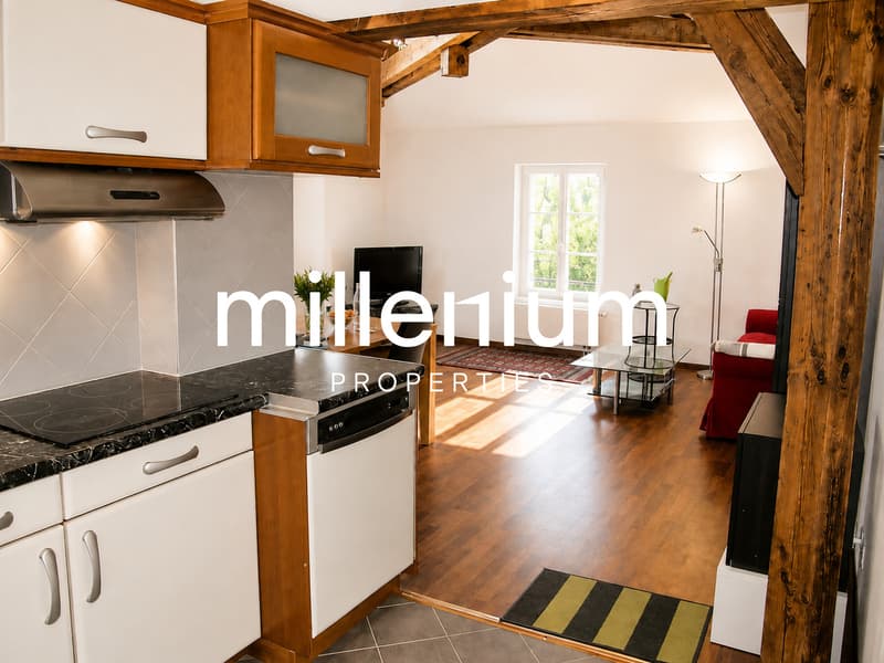 Appartement terrasse meublé de 2 P au Petit Lancy. (4)