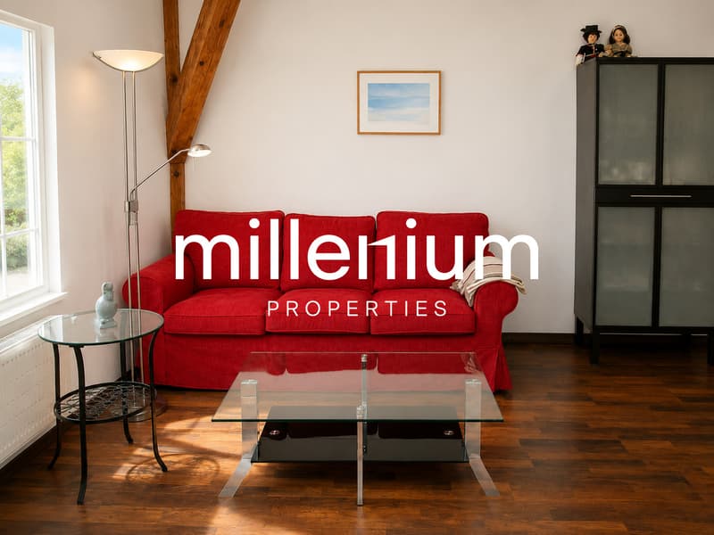 Appartement terrasse meublé de 2 P au Petit Lancy. (10)
