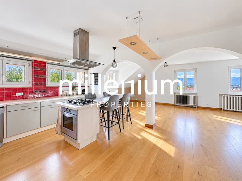 Appartement de 3 pièces au dernier étage avec terrain privatif (2)