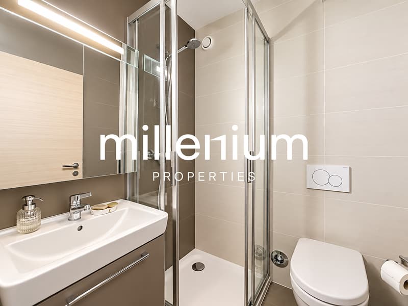 Chêne-Bourg - appartement 4P en rez-de-jardin (7)