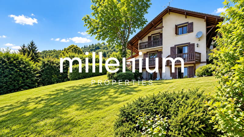 Vue panoramique sur le lac Léman et le Mont-Blanc - Gex (FRANCE) (1)