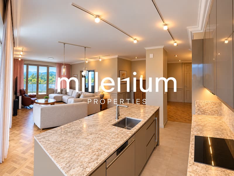 Magnifique appartement de 6 pièces entièrement rénové - Champel (4)
