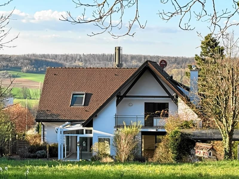 Réf: 11158 **** Leymen / frontière CH-Biel-Benken: Villa env. 220 m² (1)