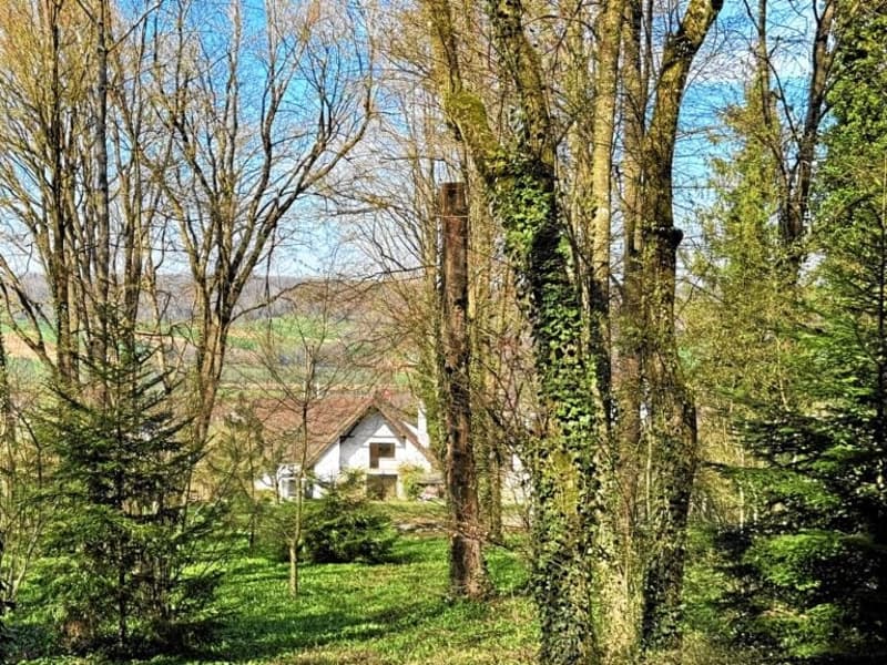 white house, surrounded by trees, in a forest, open field in the background