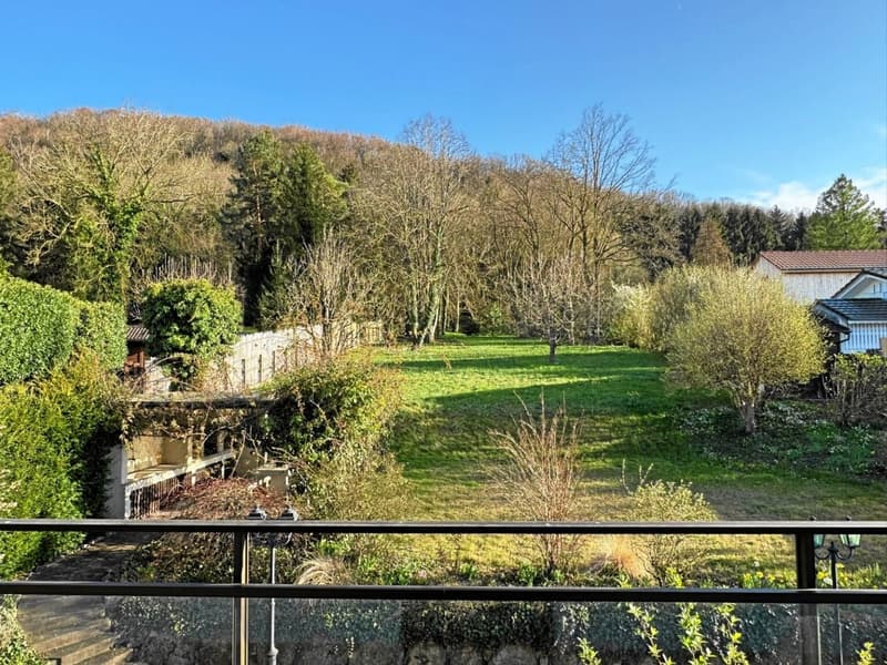open grassland, shrubs, trees, distant house, stairs