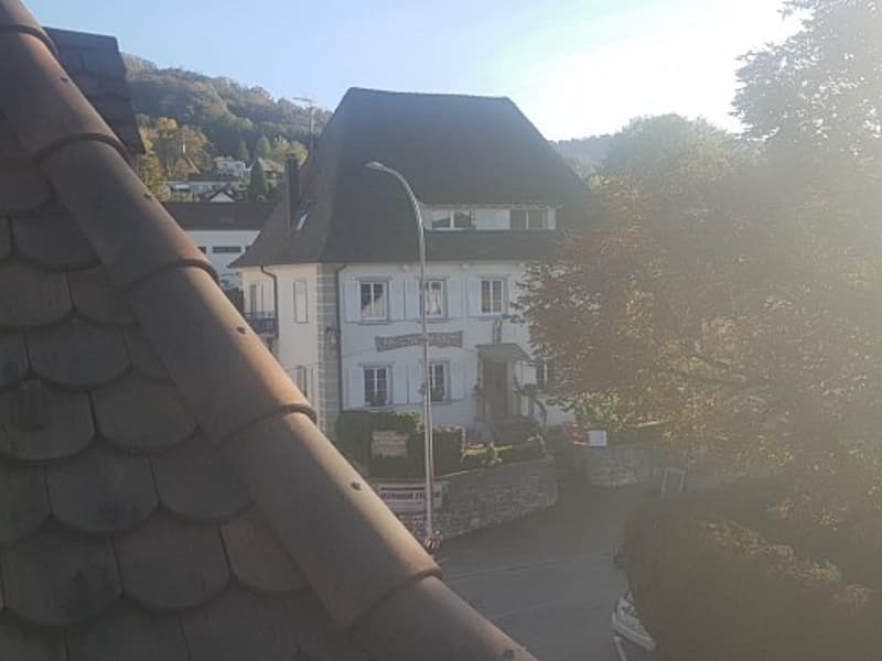 Réf: 11098*** Leymen, à deux pas de Biel Benken/CH Suisse: Charmant ensemble env. 320 m² (17)