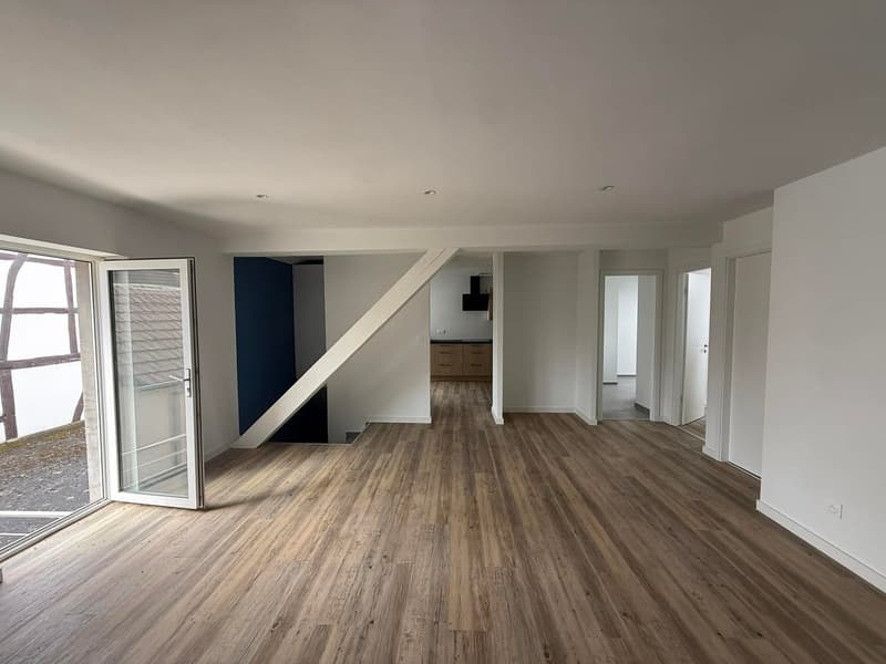 Réf: 11169*** Région Frontalière: bel appartement entièrement rénové env. 65 m² (1)