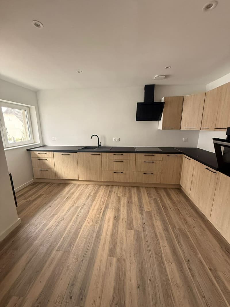 Réf: 11169*** Région Frontalière: bel appartement entièrement rénové env. 65 m² (2)