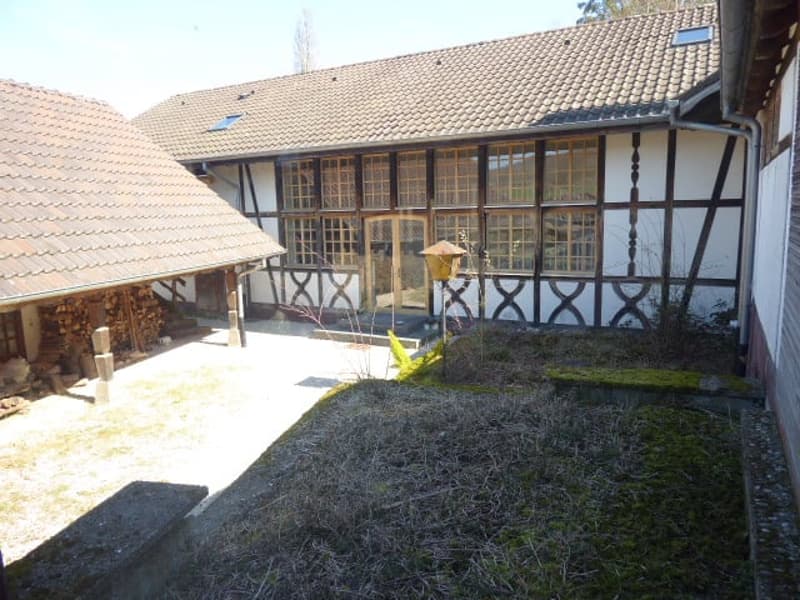 Réf: 11160*** Axe Bâle-Ferrette: Propriété d'exception de 380 m² env. (19)