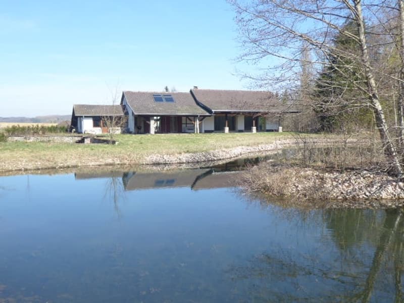 Réf: 11160*** Axe Bâle-Ferrette: Propriété d'exception de 380 m² env. (1)