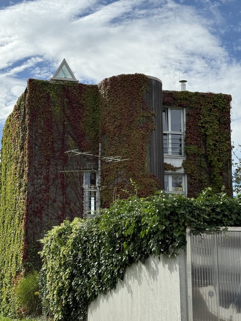 2 story house, covered in ivy, windows, triangular roof