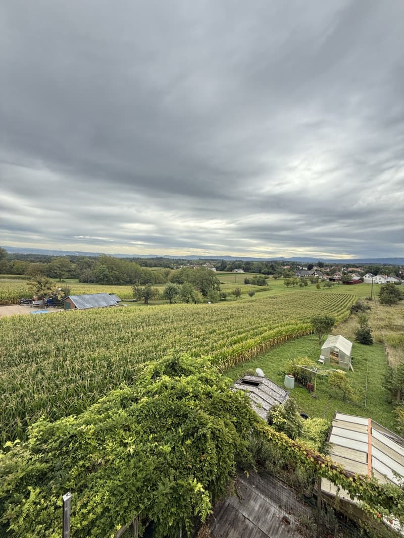 cornfield, solar panels, trees, houses, mountains in distance