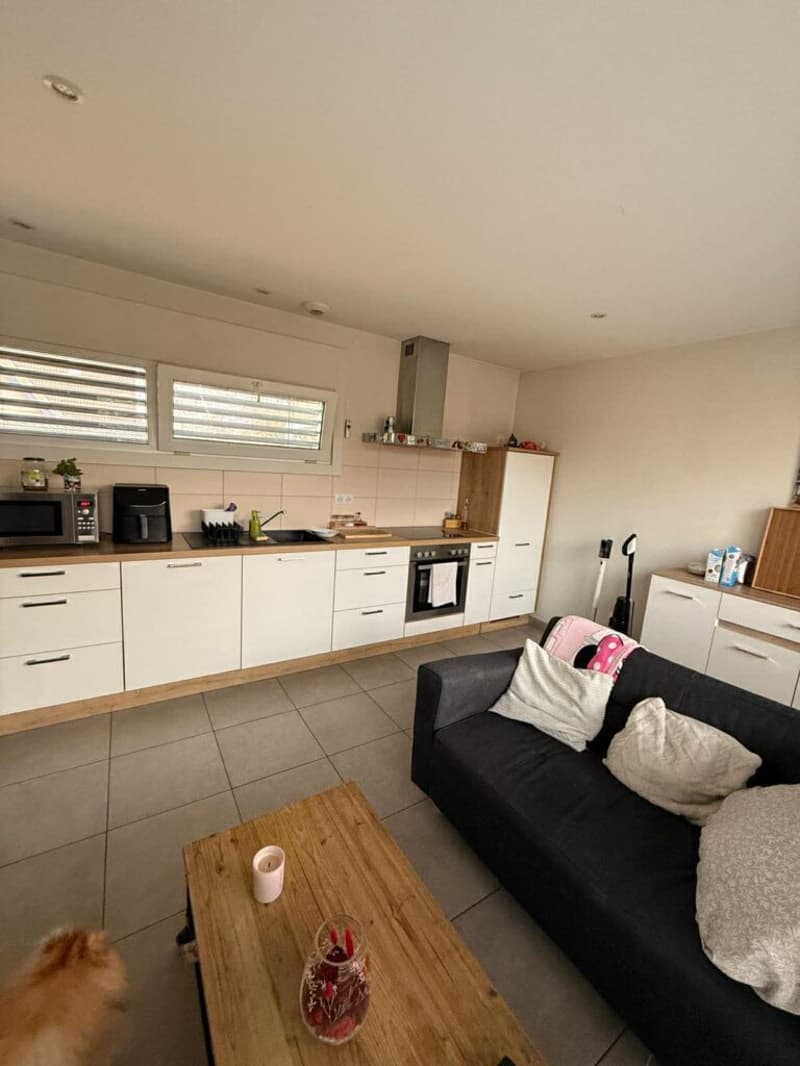 Réf 11164*** St. Louis proche gare/SNCF: Très belle maison env. 85 m² divisé en deux appartements (7)