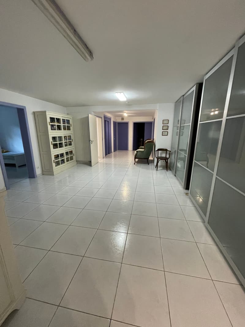Réf: 11170*** Hégenheim limite Buschwiller: Propriété d'exception de haut standing env. 300 m² (30)