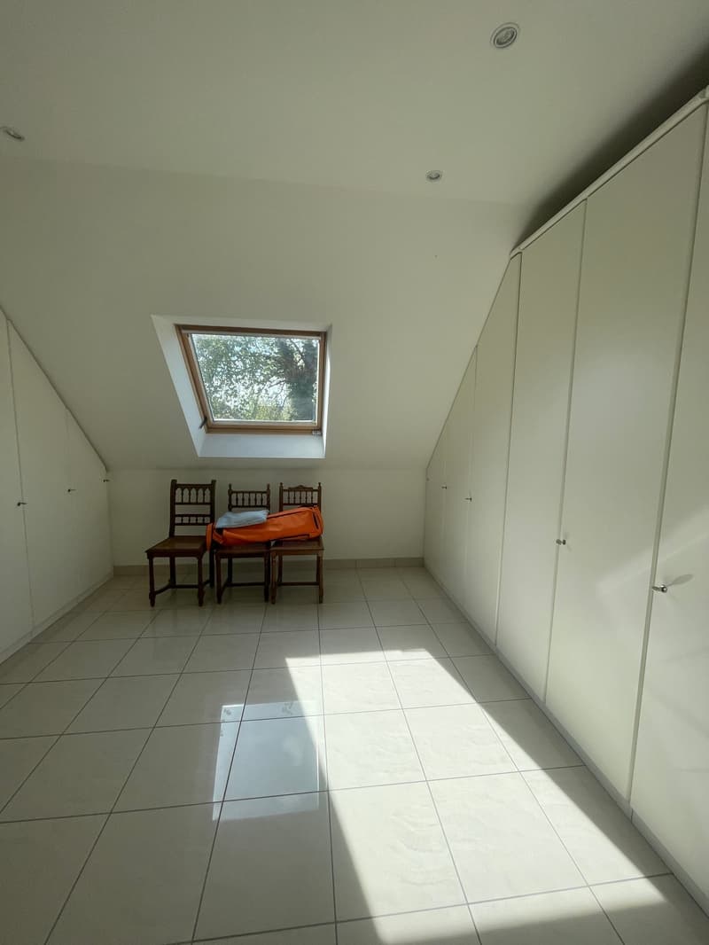Réf: 11170*** Hégenheim limite Buschwiller: Propriété d'exception de haut standing env. 300 m² (15)